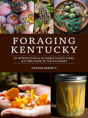 cover image of Foraging Kentucky